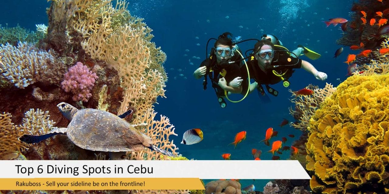 Top 6 Diving Spots in Cebu